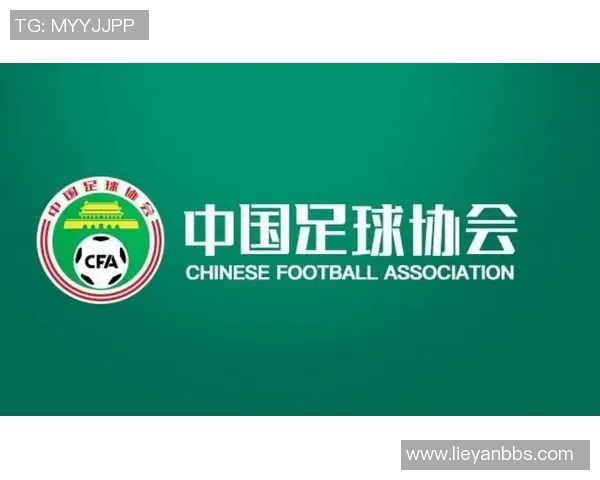 足协改革进程与中国足球发展战略的融合路径探索